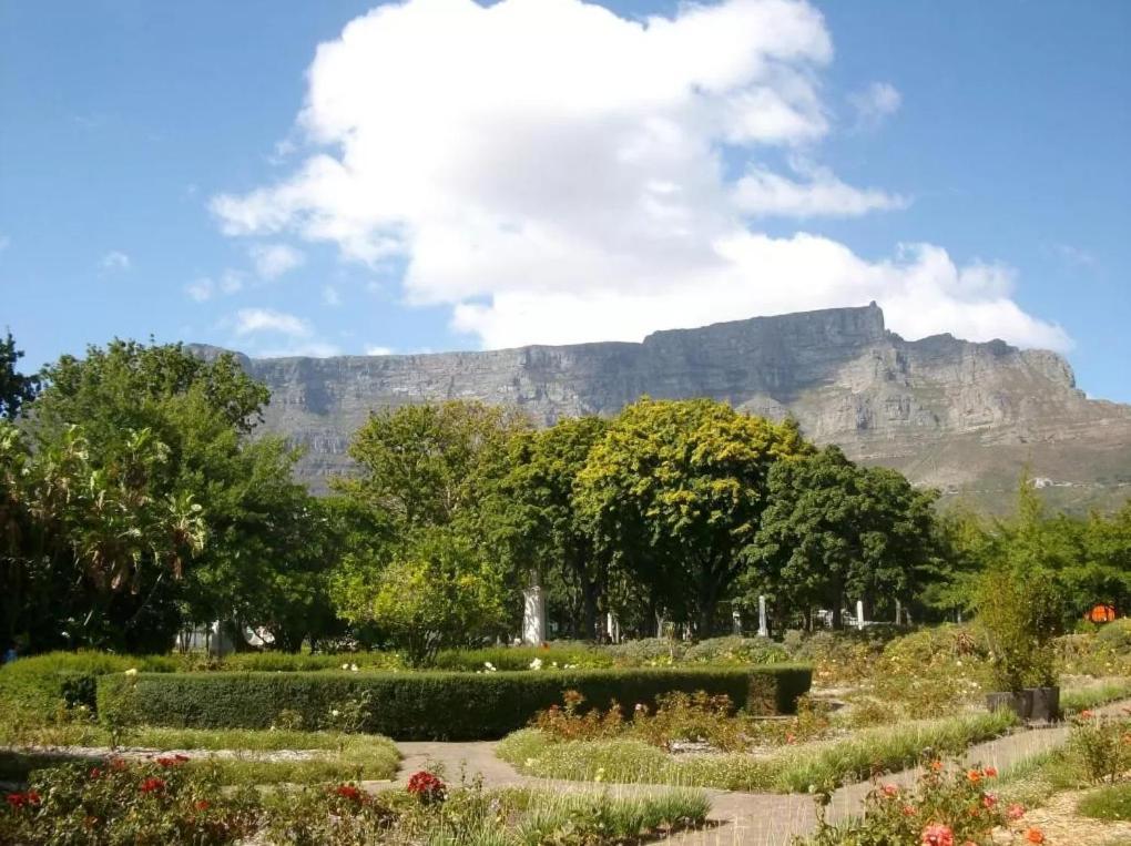 Taj Hotel Cape Town - Luxury 5 Star Suites - Very Spacious With Kitchenette, Lions Head Views Kültér fotó